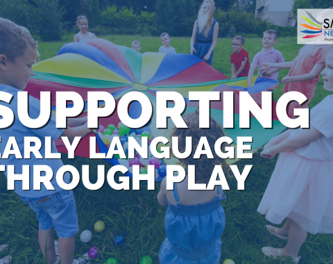 Courses – Smart Play Network – Engagement Hub